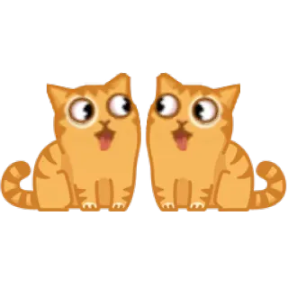 👀 gatto, gattino, arancione, cartone animato, carino, animale whatsapp sticker