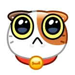 🥺 gato, fofo, adesivo, animal, gatinho, animal de estimação telegram sticker