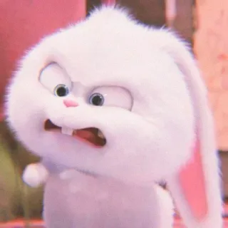 🐰 Snowball The Secret Life of Pets conejo, lindo, enojado, dibujos animados telegram sticker