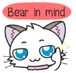 🐱 Bear in mind gato, meme, dedo do meio, engraçado, adesivo, lembre-se whatsapp sticker