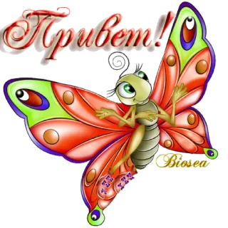 🤝 Привет! butterfly, greeting, insect, cartoon, привет telegram sticker