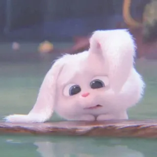 🐰 Snowball The Secret Life of Pets conejo, blanco, lindo, animal, mascota telegram sticker