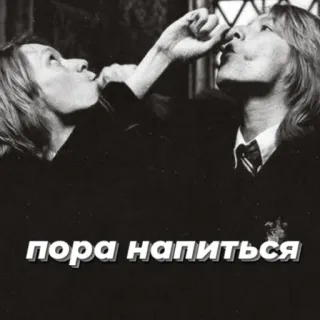 🍺 пора напиться drinking, alcohol, party, fun, text, russian telegram sticker