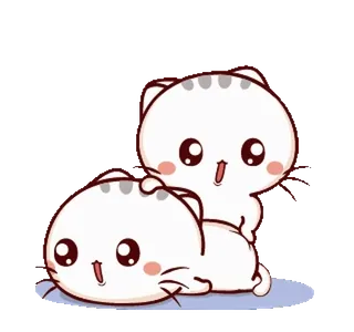 🥰 gato, gatinho, fofo, desenho animado, animais, adesivo, kawaii whatsapp sticker