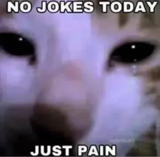 🌟 NO JOKES TODAY
JUST PAIN gato, triste, dor, sem piadas, meme telegram sticker