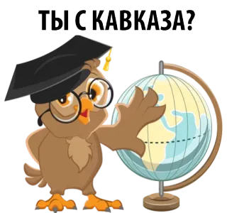 🤗 ТЫ С КАВКАЗА? coruja, globo, cáucaso, russo, pergunta, acadêmico whatsapp sticker