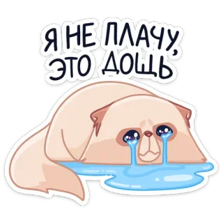 😭 Я НЕ ПЛАЧУ, ЭТО ДОЩ gato, chorando, triste, chuva, lágrimas, desenho animado telegram sticker