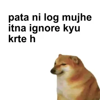🌟 Cheems Doge meme pata ni log mujhe itna ignore kyu krte h telegram sticker