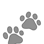 shine ➜ @emoji1 telegram emojis 🐾