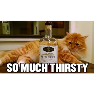 🤤 SO MUCH THIRSTY gato, sediento, whisky, gracioso, alcohol telegram sticker