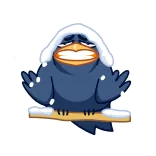 Angry Crow @TgEmojis telegram emojis 🥶