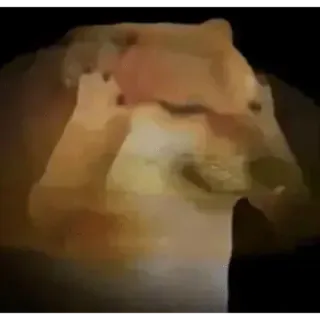 😵‍💫 Doge Mem, Pies, Zwierzę, Kultura internetu, Śmieszny mem telegram sticker