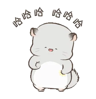 😄 哈哈哈哈 chinchilla, imut, hewan, senang, kartun telegram sticker