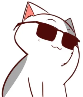 🐈 猫, 酷, 太阳镜, 动漫 whatsapp sticker