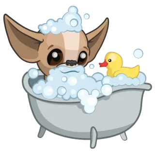 😌 cachorro, chihuahua, banho, pato de borracha, sabão, bolhas, fofo, desenho animado whatsapp sticker