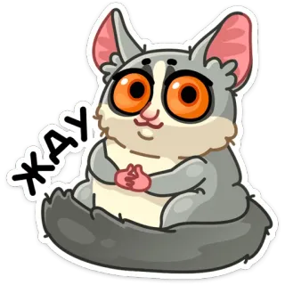 👌 ЖАУ animal, fofo, desenho animado, adesivo, cinza, olhos, olhos grandes telegram sticker