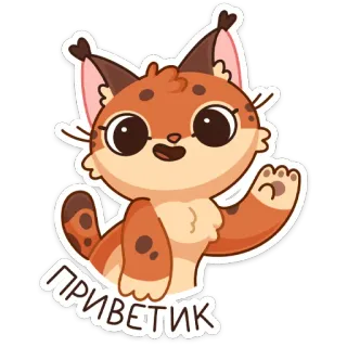 👋 ПРИВЕТИК Luchs, Tier, Katze, Kawaii, Süß, Gruß, Hallo whatsapp sticker