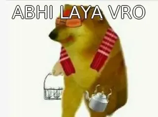 🥳 ABHI LAYA VRO doge, meme, tiếng Hindi, vui, meme trên mạng telegram sticker