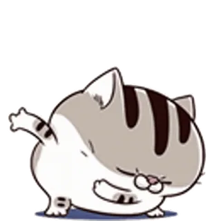 🙆‍♂️ Katze, Tier, niedlich, Aufkleber, Cartoon, lustig telegram sticker