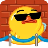 ✋️