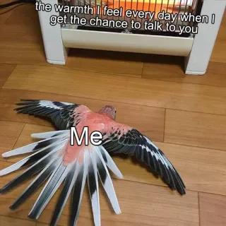 ❤️ the warmth I feel every day when I get the chance to talk to you
Me oiseau, chaleur, sentiment, texte, amour, relation, message telegram sticker