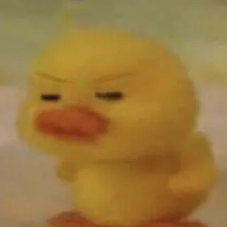 🦆 pato, zangado, irritado, pássaro whatsapp sticker