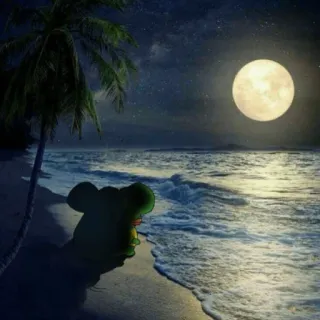 🌕 Strand, Mond, Palme, Nacht, Wasser, Ozean, Cartoon telegram sticker