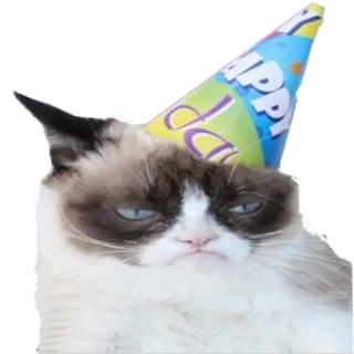 💃 Grumpy Cat HAPPY gato, gruñón, fiesta, cumpleaños, sombrero, divertido, meme whatsapp sticker