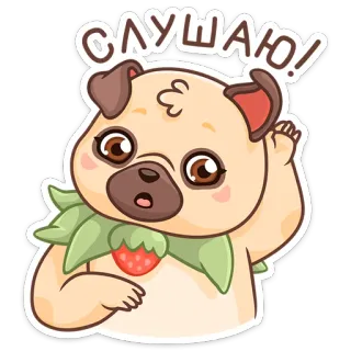 👂 СЛУШАЮ! 개, 퍼그, 듣기, 귀여운, 딸기, 동물 telegram sticker