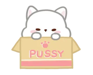 👀 PUSSY Katze, Kätzchen, Karton, süß, Haustier, Tier telegram sticker
