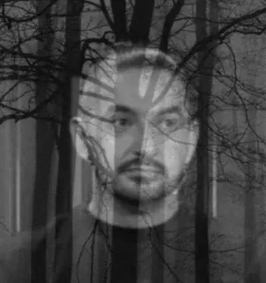 🌟 portrait, man, trees, forest, double exposure, black and white telegram sticker