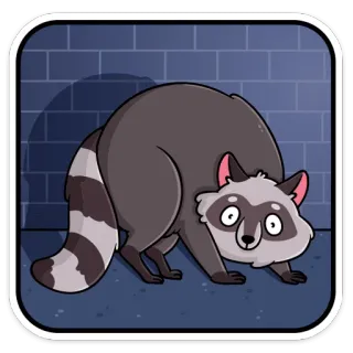 😳 rakun, binatang, kartun, satwa liar telegram sticker