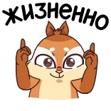😁 동물, 다람쥐, 만화, 귀여운, 행복한 telegram sticker
