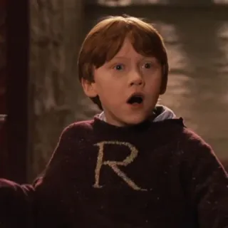🦁 Ron Weasley Harry Potter ハリーポッター, ロン・ウィーズリー, 魔法使い, キャラクター, セーター, 男の子 telegram sticker
