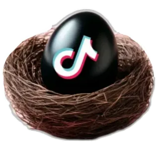 🥽 TikTok, 달걀, 새 둥지, 소셜 미디어, 로고, 검은 달걀 telegram sticker