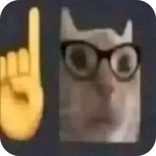 🤓 gatto, emoji, occhiali, meme telegram sticker