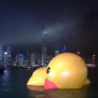 😞 rubber duck, duck, water, city, Hong Kong, inflatable whatsapp sticker