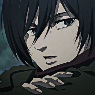 ❕ Mikasa Ackerman Attack on Titan 三笠, 进击的巨人, 动漫, 角色, 漫画, 日本动漫 telegram sticker