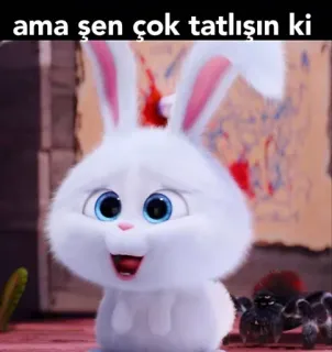 😍 ama sen çok tatlısın ki 토끼, 귀여운, 토끼, 폭신한, 사랑스러운 whatsapp sticker