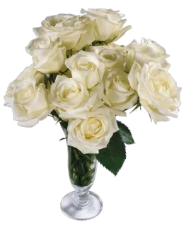 🌺 Blumen, Weiße Rosen, Strauß, Vase, Blumenarrangement, Rosen whatsapp sticker