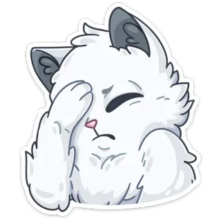 🙈 cat, sticker, sad, fluffy, white, facepalm, cartoon telegram sticker
