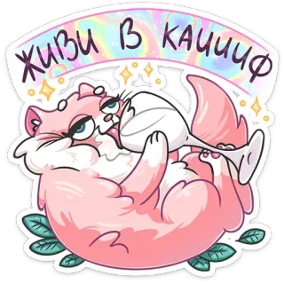 🤤 живи в кайф 猫, 喝酒, 葡萄酒, 俄罗斯, 卡通, 可爱, 酒精, 派对 telegram sticker