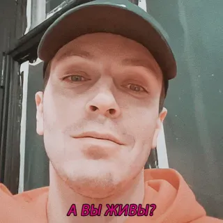 😈 А вы живы? telegram sticker