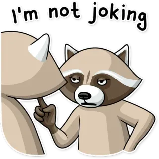 😡 I'm not joking szop pracz, poważny, nie żartuję, palec, zwierzę, słodki telegram sticker
