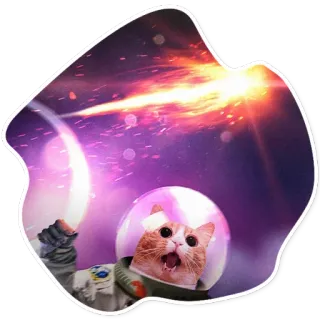 😂 kot, astronauta, kosmos, naklejka telegram sticker