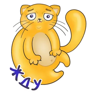 😕 жду cat, cute, waiting, animal, sticker whatsapp sticker