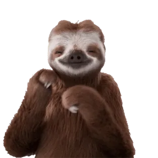 😂 kukang, binatang, imut, senang, lucu, tersenyum whatsapp sticker