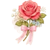 🌹
