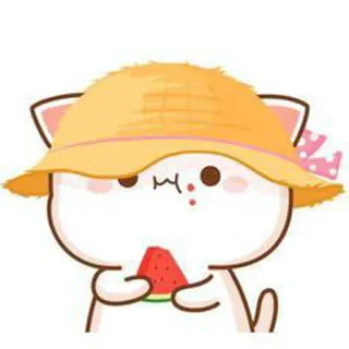 🍉 cat, watermelon, cute, kawaii, sticker, cartoon whatsapp sticker