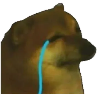 😢 Cheems cane, triste, piangere, meme telegram sticker